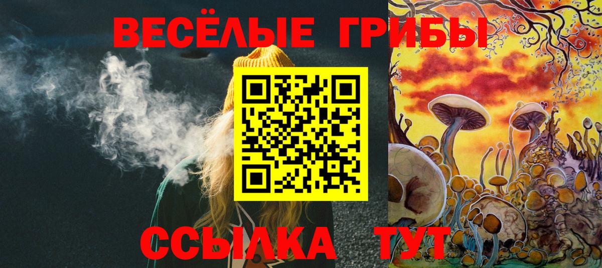 Галлюциногенные грибы GOLDEN TEACHER  Вход с VPN  Магадан 