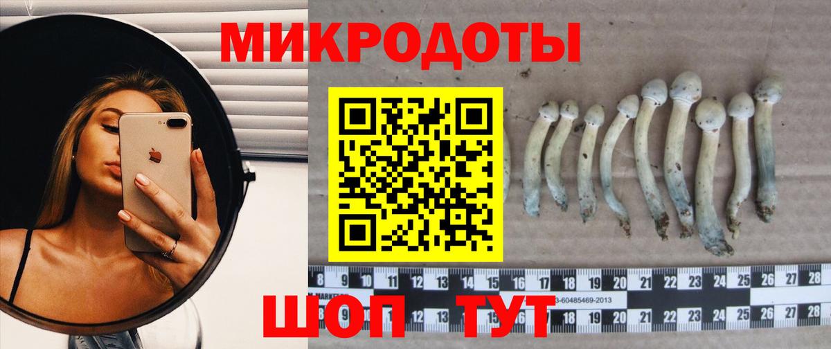 Галлюциногенные грибы Cubensis Магадан