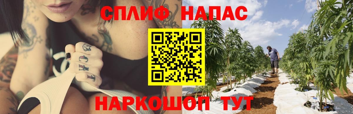 Шишки марихуана конопля  Шишки марихуана MAZAR  Магадан  Шишки марихуана MAZAR  Вход с VPN 